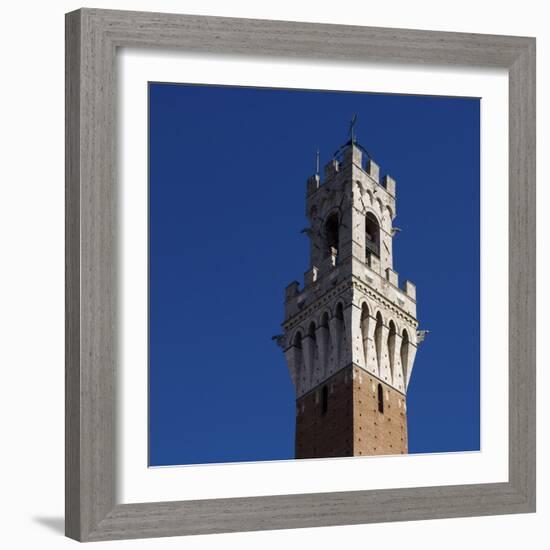 Siena Architectural Detail of Crenellated Tower-Mike Burton-Framed Photographic Print