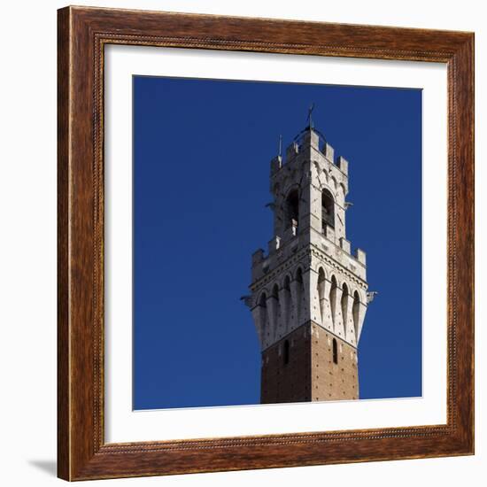 Siena Architectural Detail of Crenellated Tower-Mike Burton-Framed Photographic Print