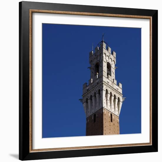 Siena Architectural Detail of Crenellated Tower-Mike Burton-Framed Photographic Print