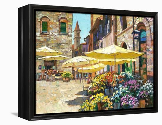 Siena Flower Market-Howard Behrens-Framed Stretched Canvas