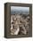 Siena, Tuscany, Italy-Angelo Cavalli-Framed Premier Image Canvas