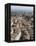 Siena, Tuscany, Italy-Angelo Cavalli-Framed Premier Image Canvas