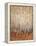 Sienna Birches I-Tim OToole-Framed Stretched Canvas