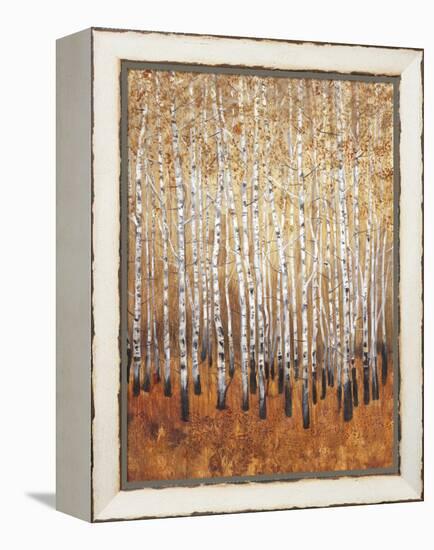 Sienna Birches I-Tim OToole-Framed Stretched Canvas