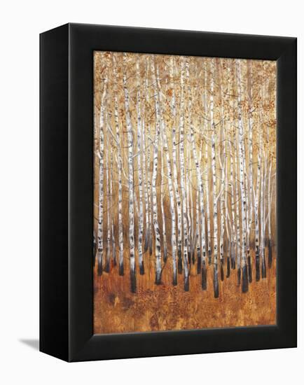 Sienna Birches I-Tim OToole-Framed Stretched Canvas