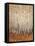 Sienna Birches I-Tim OToole-Framed Stretched Canvas