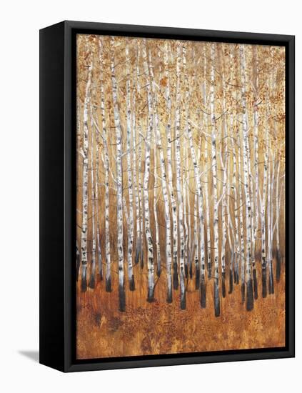 Sienna Birches I-Tim OToole-Framed Stretched Canvas