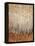 Sienna Birches I-Tim OToole-Framed Stretched Canvas