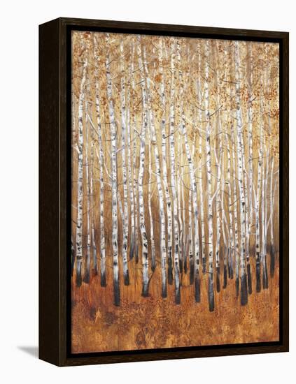 Sienna Birches I-Tim OToole-Framed Stretched Canvas