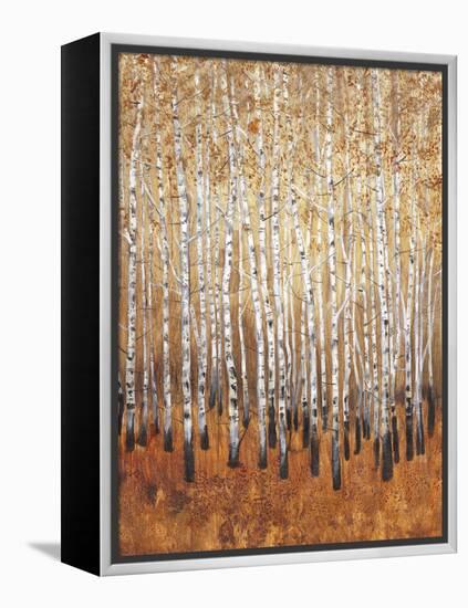 Sienna Birches I-Tim OToole-Framed Stretched Canvas