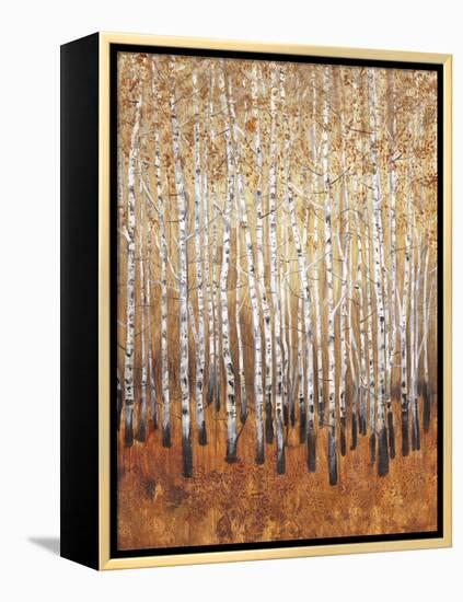 Sienna Birches I-Tim OToole-Framed Stretched Canvas