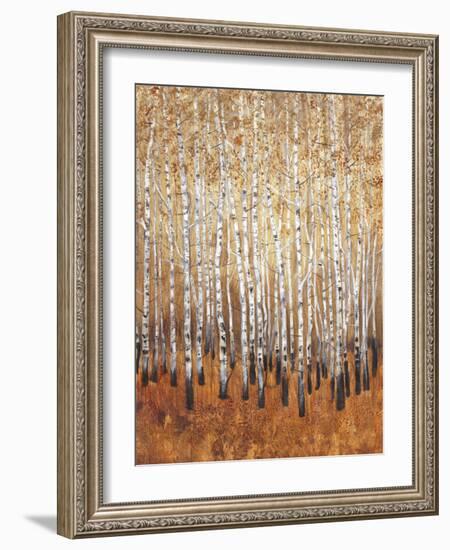 Sienna Birches I-Tim OToole-Framed Premium Giclee Print