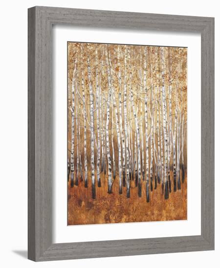 Sienna Birches I-Tim OToole-Framed Premium Giclee Print