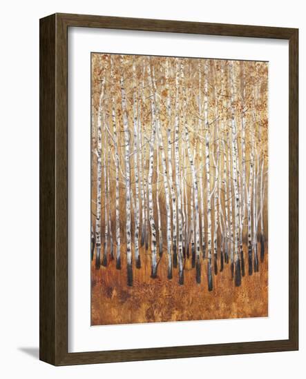 Sienna Birches I-Tim OToole-Framed Premium Giclee Print