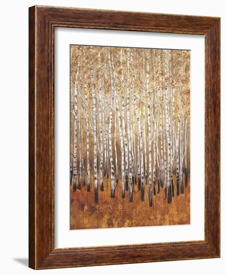 Sienna Birches I-Tim OToole-Framed Premium Giclee Print