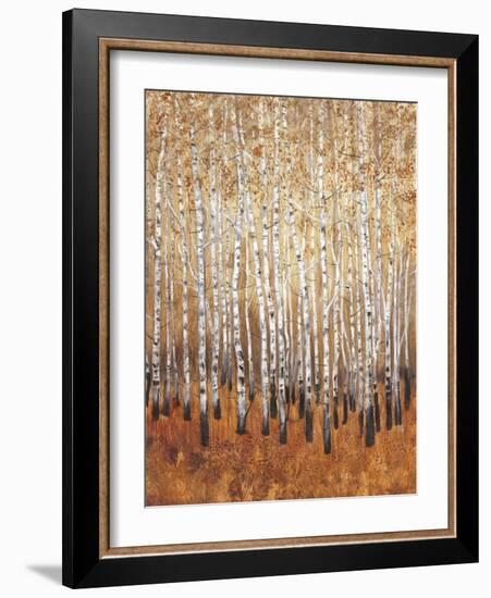 Sienna Birches I-Tim OToole-Framed Premium Giclee Print