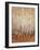 Sienna Birches I-Tim OToole-Framed Premium Giclee Print