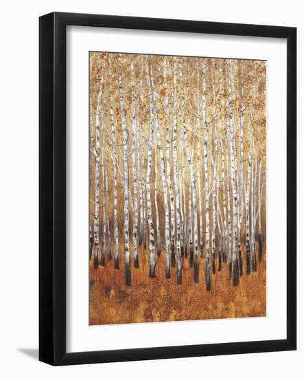 Sienna Birches I-Tim OToole-Framed Premium Giclee Print