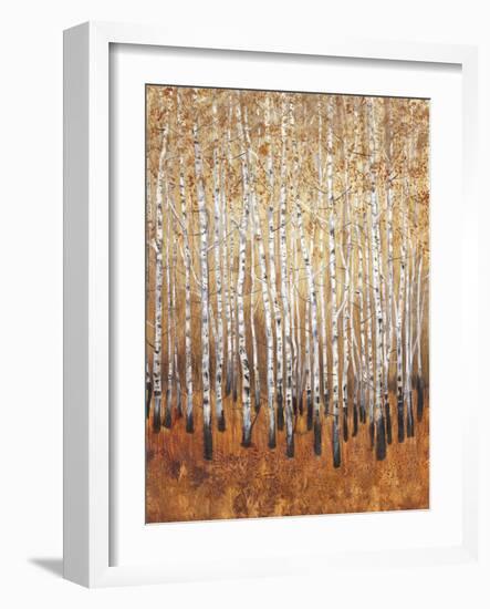 Sienna Birches I-Tim OToole-Framed Premium Giclee Print