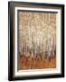 Sienna Birches I-Tim OToole-Framed Art Print