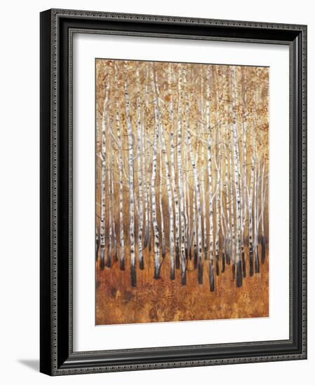 Sienna Birches I-Tim OToole-Framed Art Print