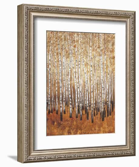 Sienna Birches I-Tim OToole-Framed Art Print