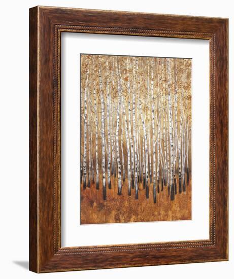 Sienna Birches I-Tim OToole-Framed Art Print