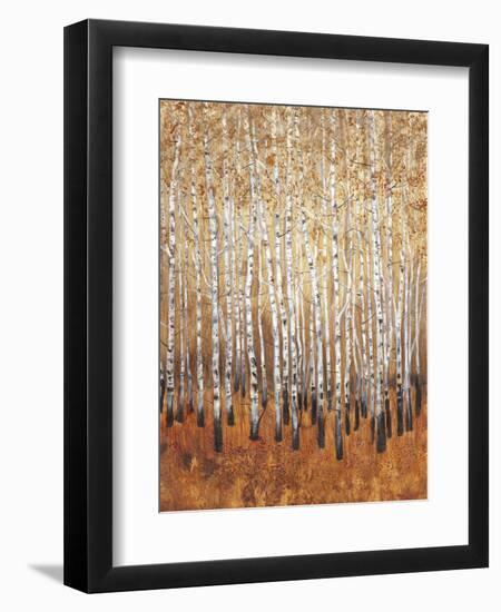 Sienna Birches I-Tim OToole-Framed Art Print