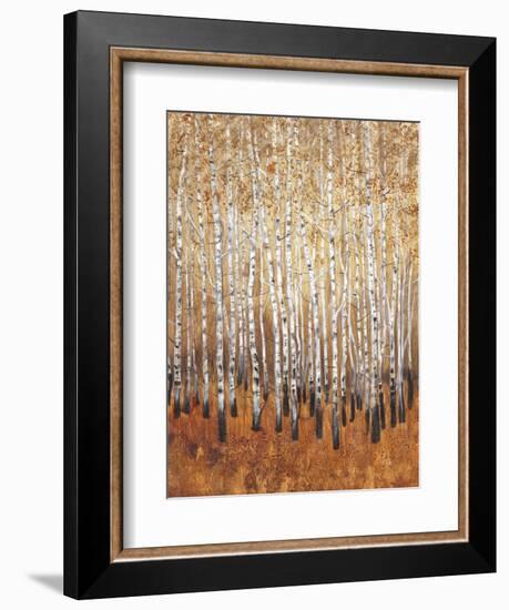 Sienna Birches I-Tim OToole-Framed Art Print