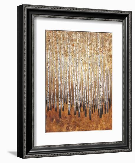 Sienna Birches I-Tim OToole-Framed Art Print