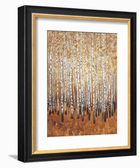 Sienna Birches I-Tim OToole-Framed Art Print