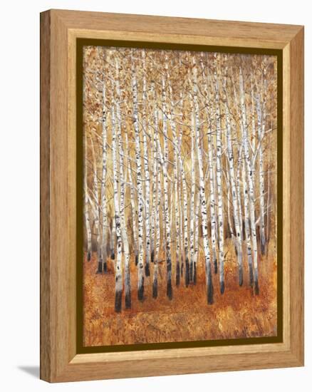 Sienna Birches II-Tim OToole-Framed Stretched Canvas