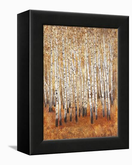 Sienna Birches II-Tim OToole-Framed Stretched Canvas