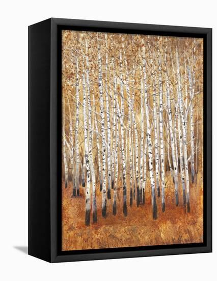 Sienna Birches II-Tim OToole-Framed Stretched Canvas