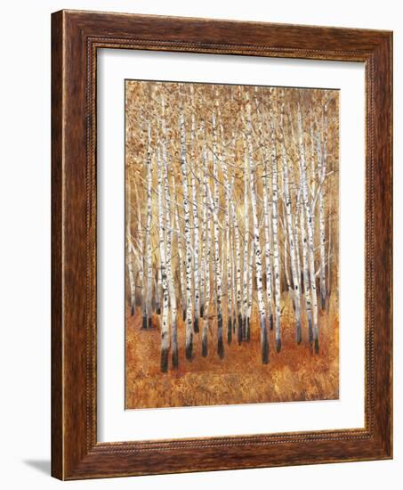 Sienna Birches II-Tim OToole-Framed Art Print