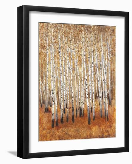 Sienna Birches II-Tim OToole-Framed Art Print