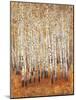 Sienna Birches II-Tim OToole-Mounted Art Print