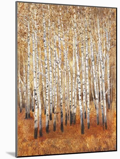 Sienna Birches II-Tim OToole-Mounted Art Print