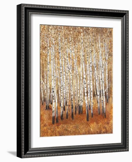 Sienna Birches II-Tim OToole-Framed Art Print