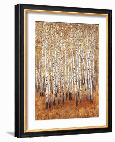 Sienna Birches II-Tim OToole-Framed Art Print