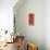 Sienna Flowers II-Fernando Leal-Art Print displayed on a wall