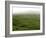 Siera Do Cume, Terceira Island, Azores, Portugal, Europe-De Mann Jean-Pierre-Framed Photographic Print