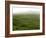 Siera Do Cume, Terceira Island, Azores, Portugal, Europe-De Mann Jean-Pierre-Framed Photographic Print