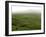 Siera Do Cume, Terceira Island, Azores, Portugal, Europe-De Mann Jean-Pierre-Framed Photographic Print