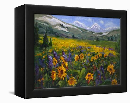 Sierra Awakenings II-Nanette Oleson-Framed Stretched Canvas