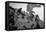 Sierra Club Mount Rainier Climbing Expedition, 1905-Ashael Curtis-Framed Premier Image Canvas