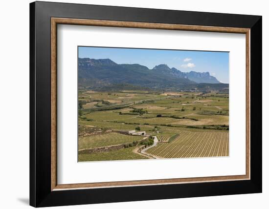 Sierra De Cantabria Mountains Near San Vicente De La Sonsierra, La Rioja, Spain, Europe-Martin Child-Framed Photographic Print