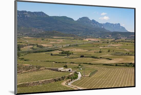 Sierra De Cantabria Mountains Near San Vicente De La Sonsierra, La Rioja, Spain, Europe-Martin Child-Mounted Photographic Print