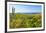 Sierra de la Laguna Canyon, near Los Cabos, Baja California, Mexico. Cardon cactus.-Stuart Westmorland-Framed Photographic Print