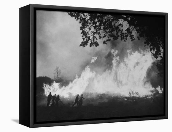 Sierra Forest Fire-Ralph Crane-Framed Premier Image Canvas